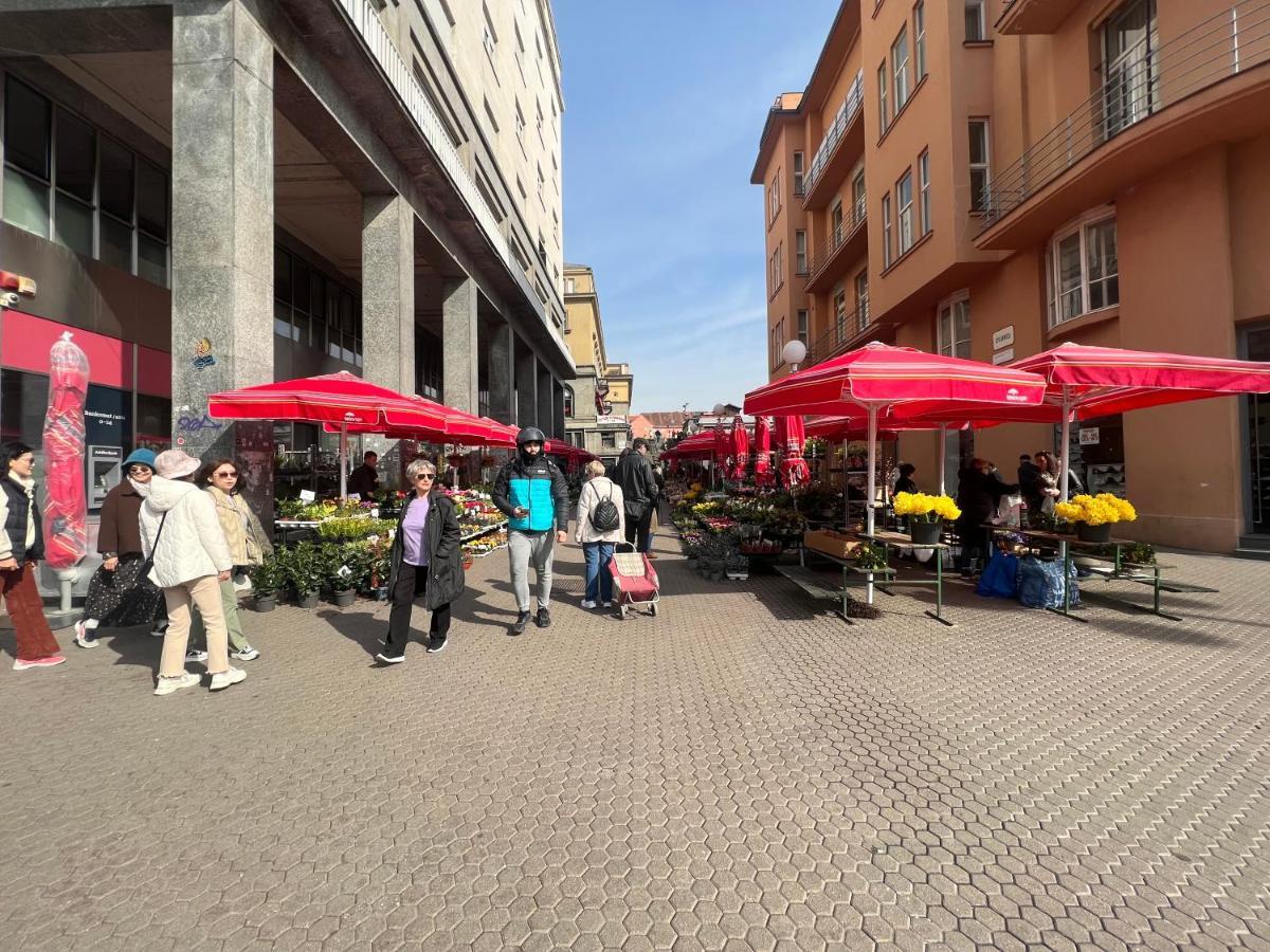 Studio Apartman Luka Zagreb Buitenkant foto